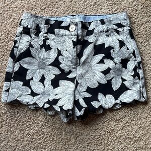 Crown and Ivy Black Flower Shorts